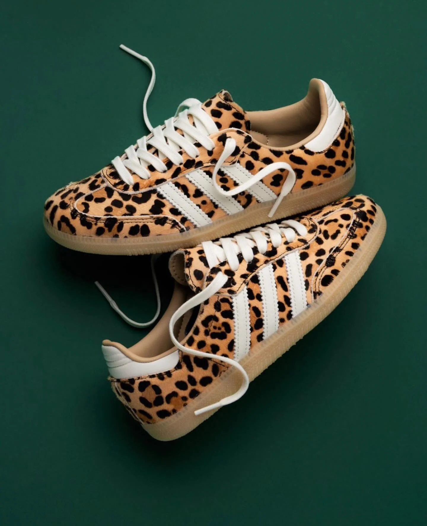 Adidas Samba OG Leopard Magic Beige - Image 2