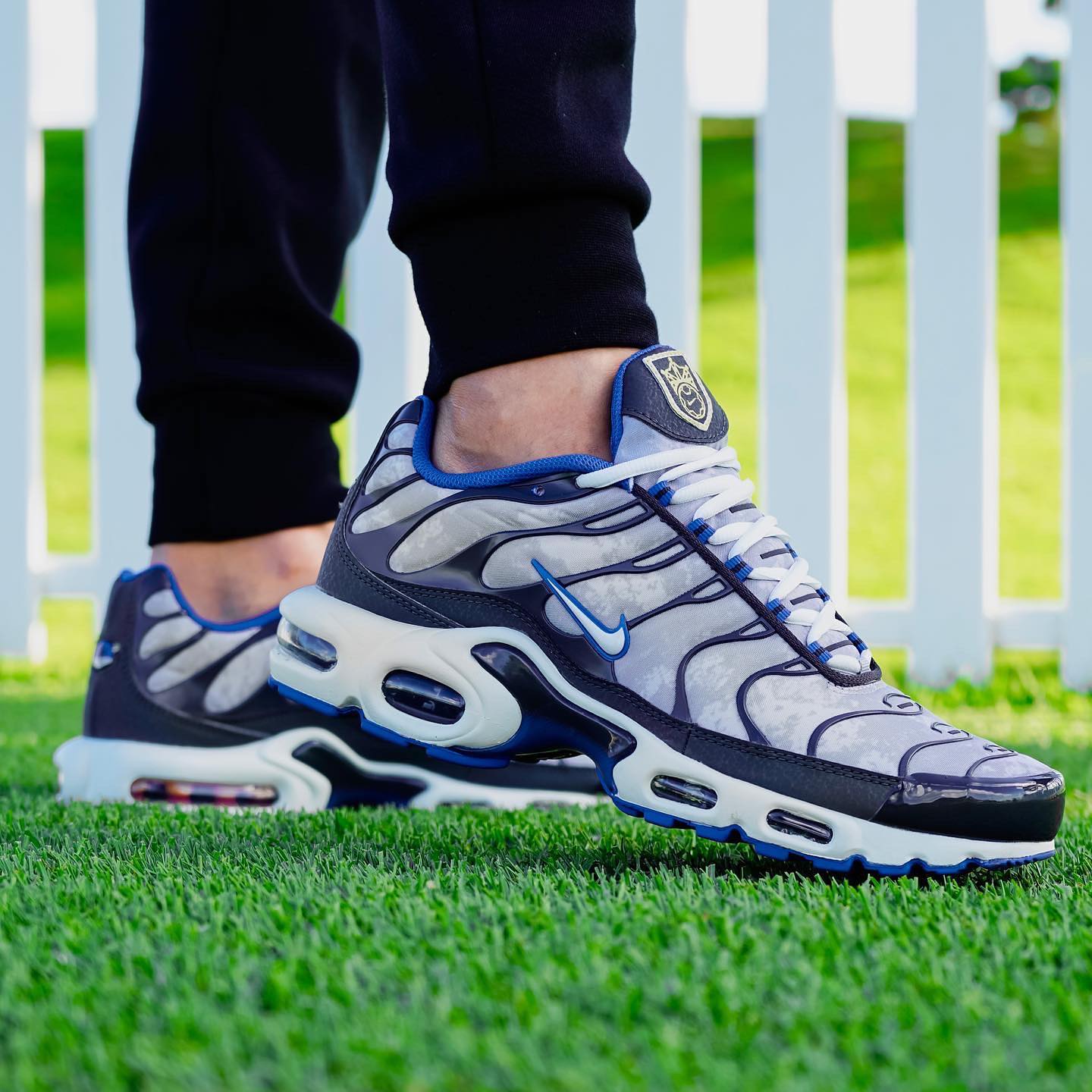 Nike Air Max Plus SE Social FC - Image 2