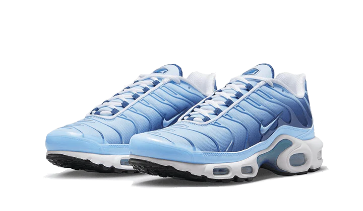 Nike Air Max Plus University Blue Gradient - Image 2