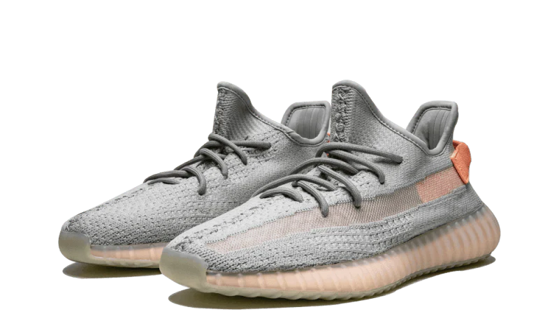 Adidas Yeezy Boost 350 V2 True Form - Image 2